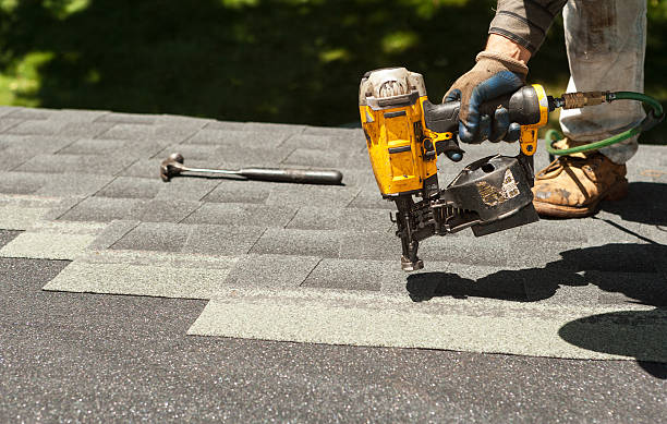 Best Roof Gutter Cleaning  in Faison, NC