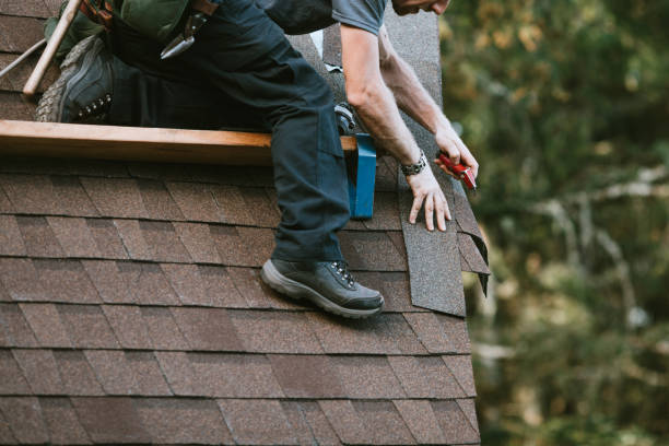 Roof Gutter Cleaning in Faison, NC