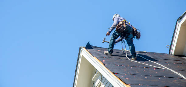 Best Storm Damage Roof Repair  in Faison, NC